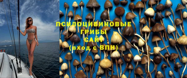 хмурый Алексеевка