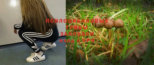 хмурый Алексеевка