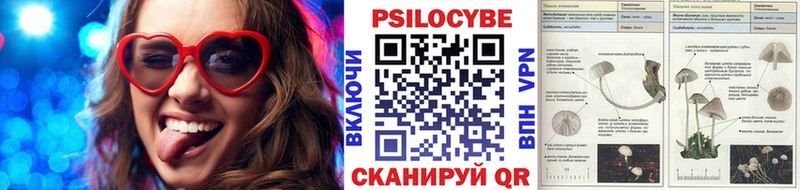 дарк нет наркотические препараты  KRAKEN ТОР  Галлюциногенные грибы GOLDEN TEACHER  Южно-Сахалинск  где купить наркотик 
